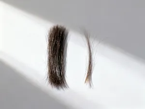Profesjonalne koło barw fryzjerskich na stole w salonie, służące do dobierania odcieni podczas koloryzacji włosów.